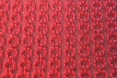 Thảm nhựa hoa cúc màu đỏ